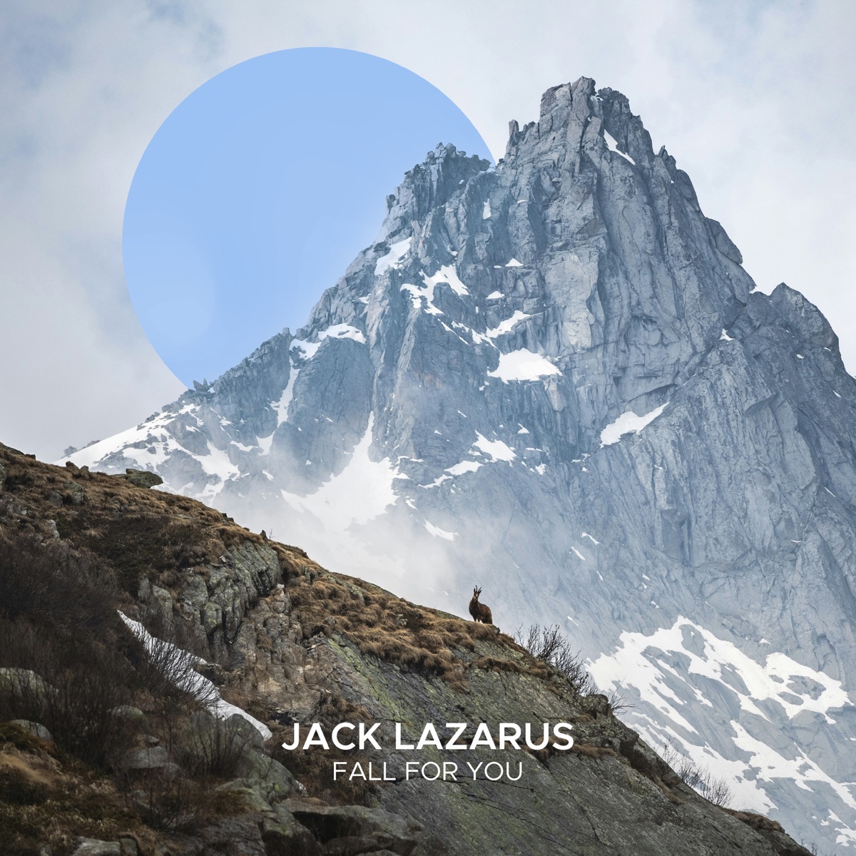 Fall for You - Single by Jack Lazarus album cover