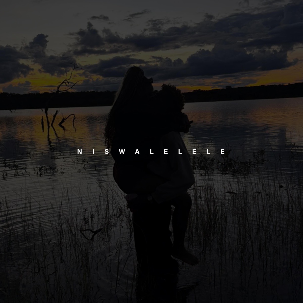 Niswalelele (feat. Paqmeanslove) - Single by Zaggar album cover