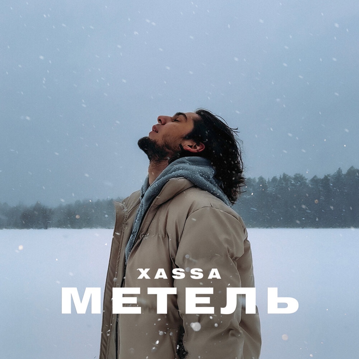 Метель - Single by XASSA album cover