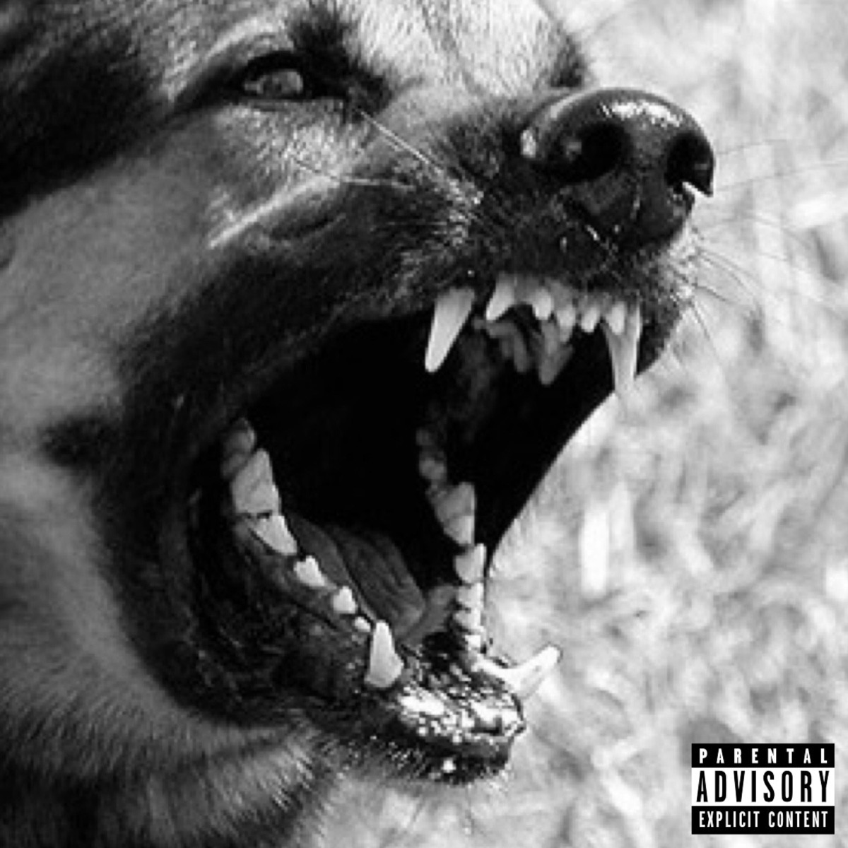 Dog Food (feat. Blvck Svm) - Single by Jibba album cover