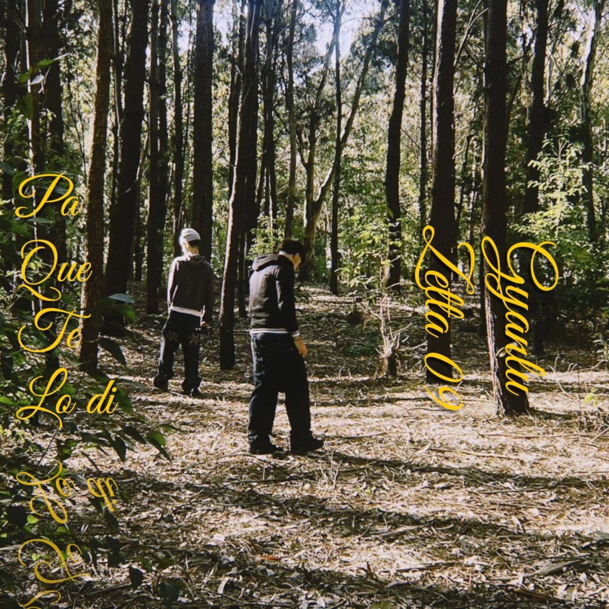Pa Que Te Lo Di (feat. Zetta 09) - Single by Gyanlu album cover