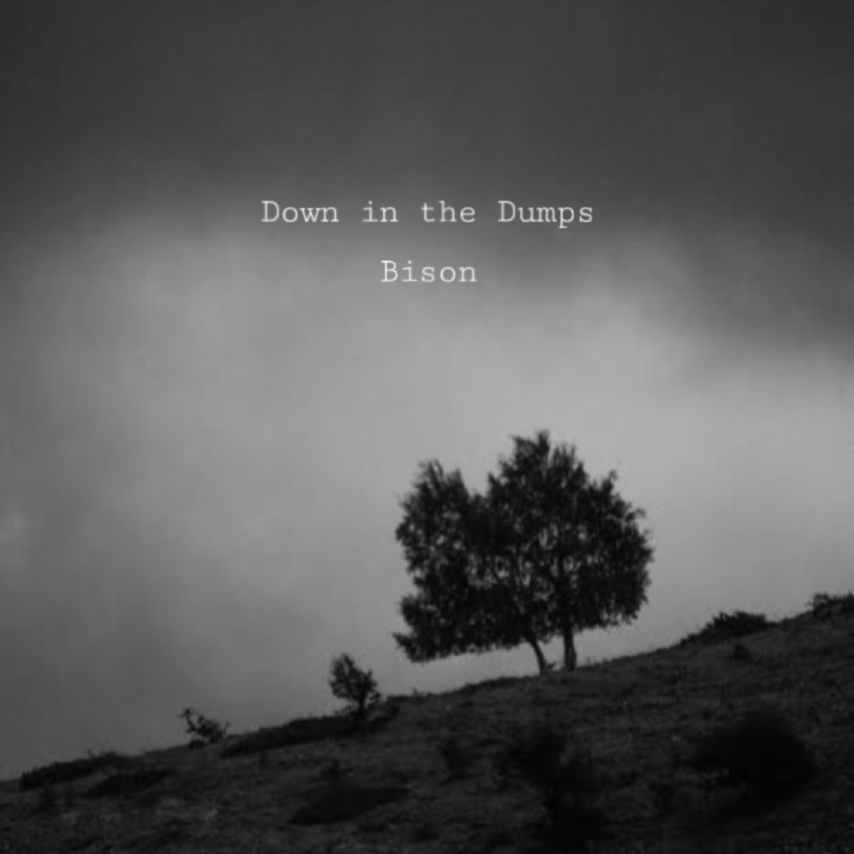 down in the dumps - Single by BISON album cover