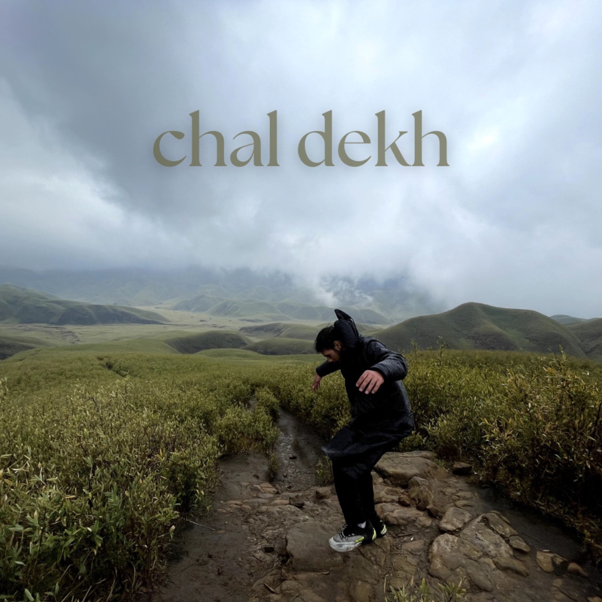 chal dekh - Single by NAVWIK & ROFFLALA album cover