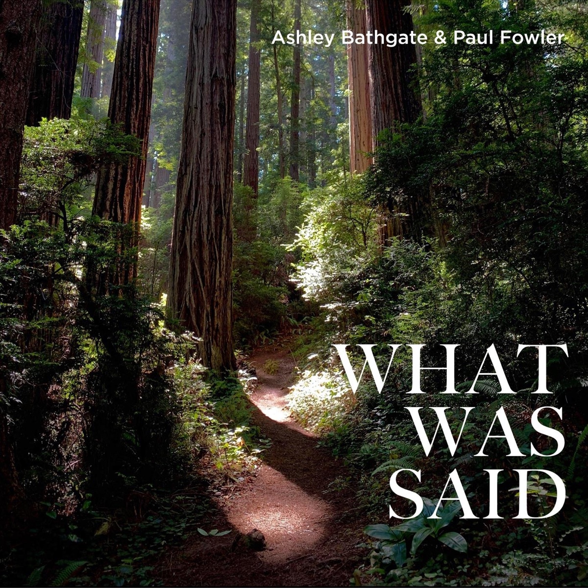 What Was Said - Single by Ashley Bathgate & Paul Fowler album cover