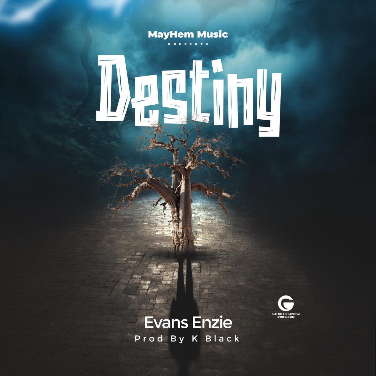 Destiny - Single by Evans Enzie album cover