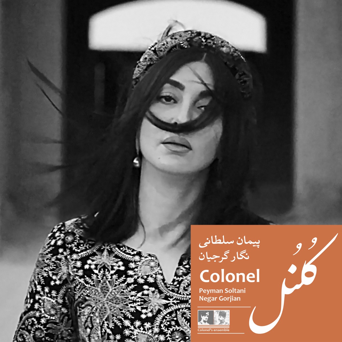 Colonel - Single by Peyman Soltani & Negar Gorjian album cover