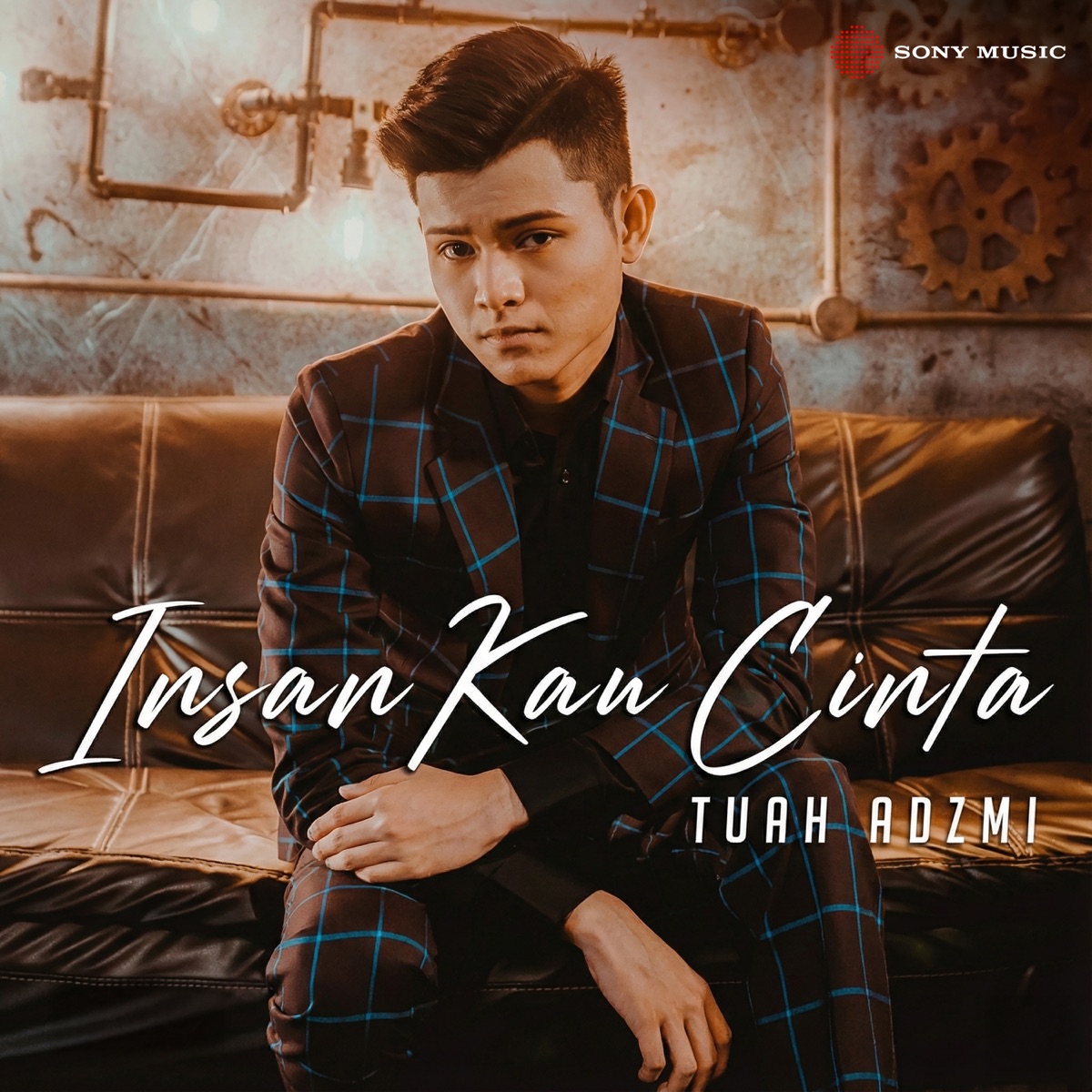Insan Kau Cinta - Single by Tuah Adzmi album cover