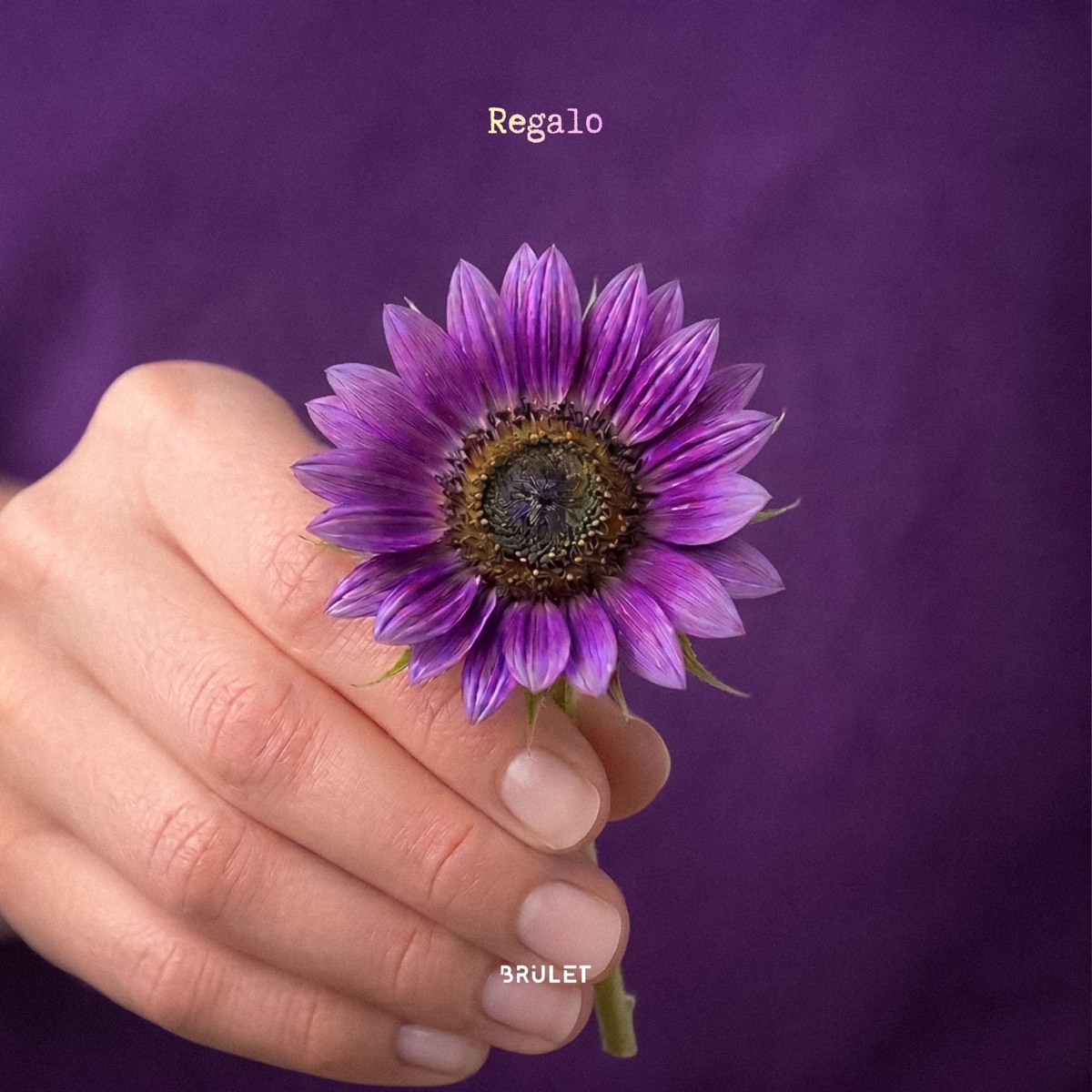 Regalo - Single by Brulet album cover