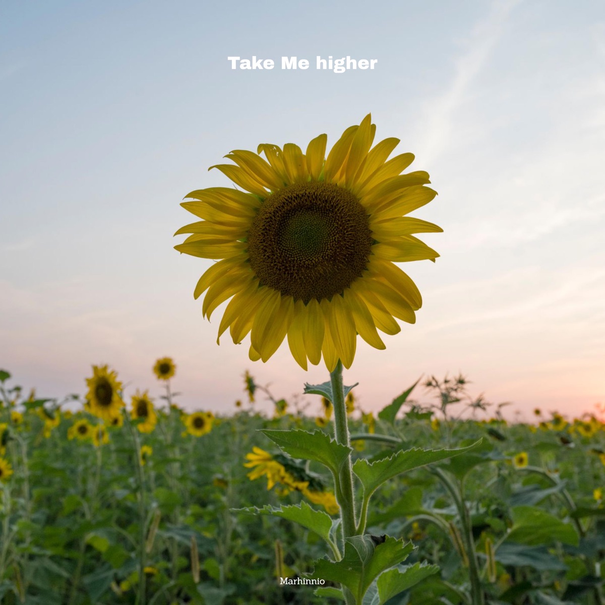 Take Me Higher - Single by Marhinnio album cover