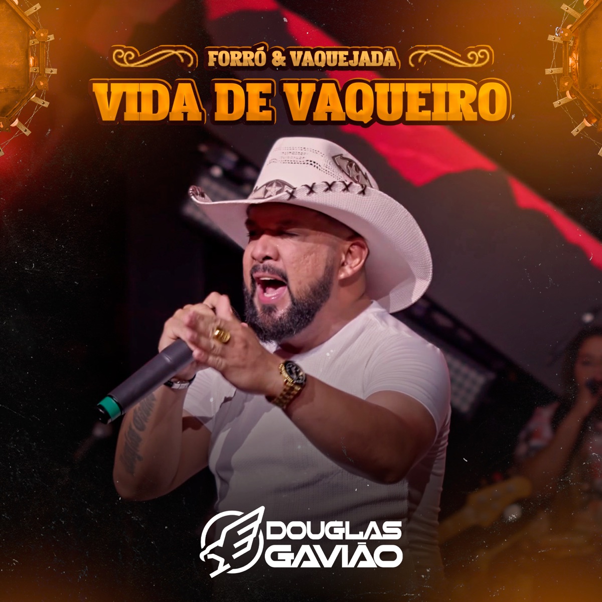 Vida de Vaqueiro - Single by Douglas Gavião album cover