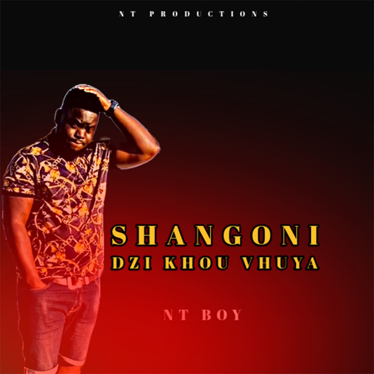 Shangoni dzi khou vhuya - Single by NT BOY album cover