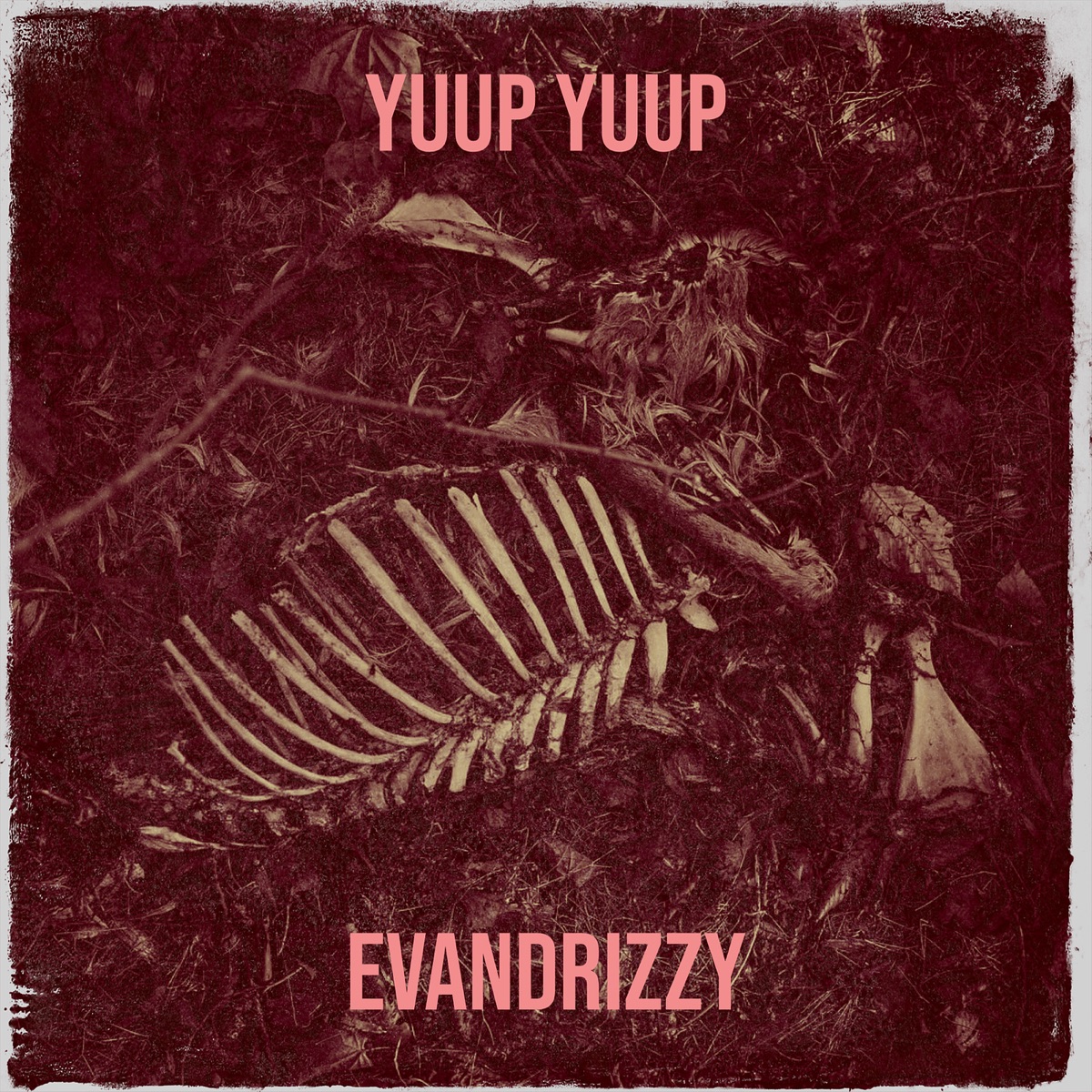 Yuup Yuup - Single by Evandrizzy album cover