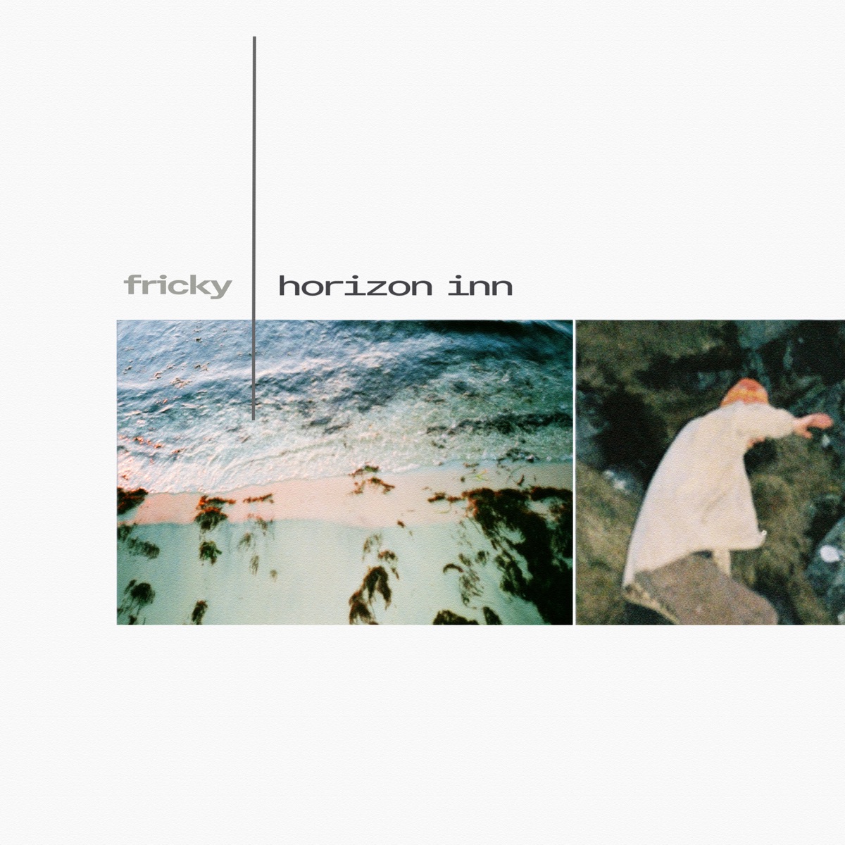 Horizon Inn by Fricky & The Desktoppers album cover