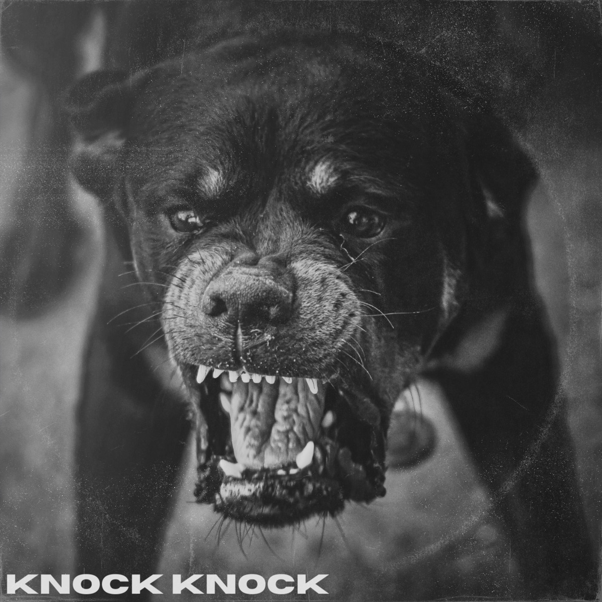Knock Knock - Single by Neon, Ceaese, Enzo Desgracia & Lord Sucio album cover