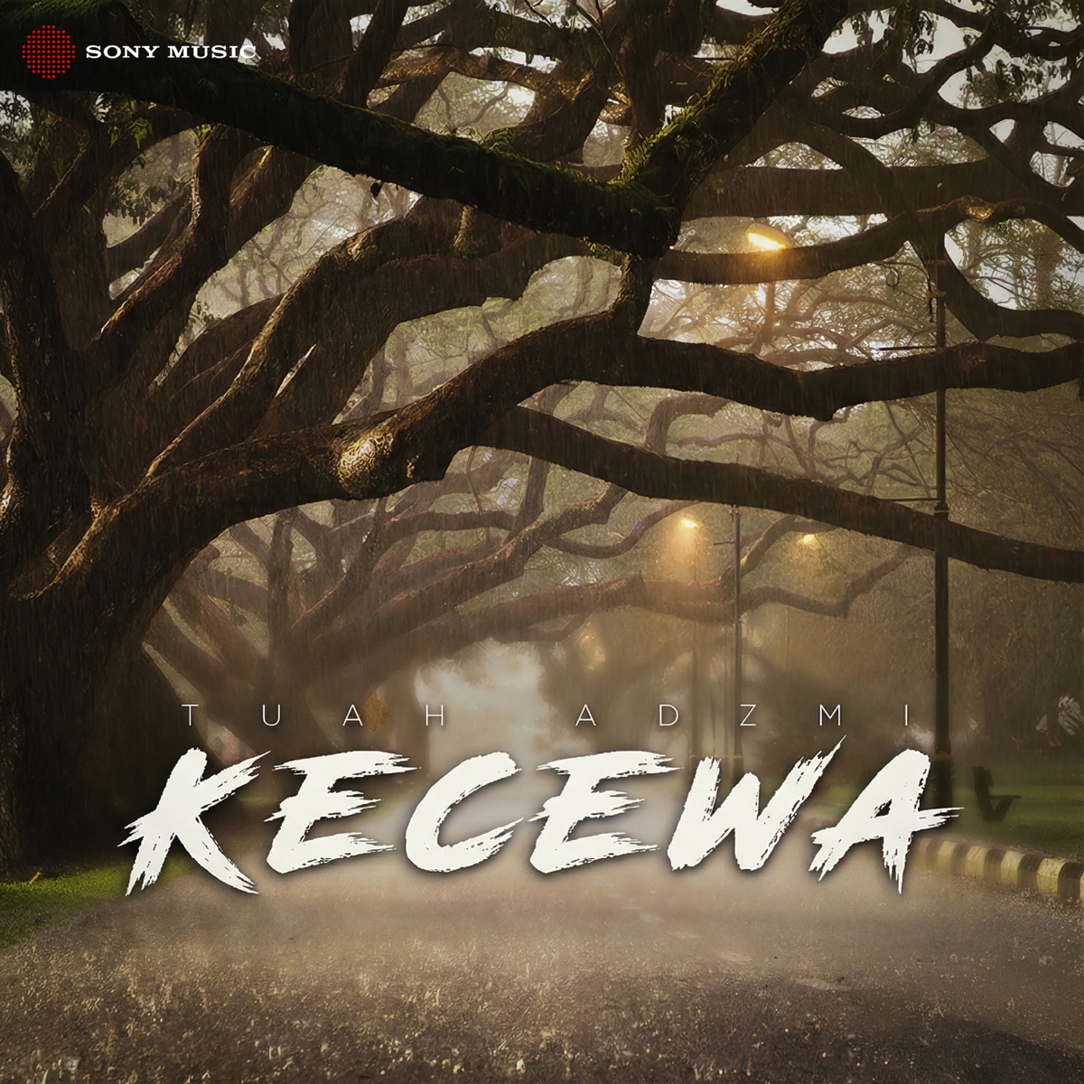 Kecewa - Single by Tuah Adzmi album cover