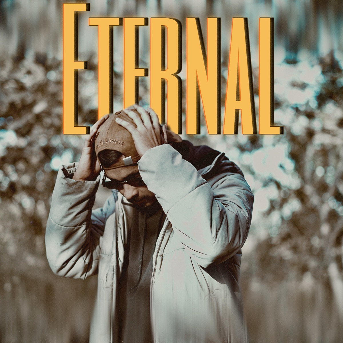 Eternal (feat. Music Monster) - Single by Rudraaa album cover