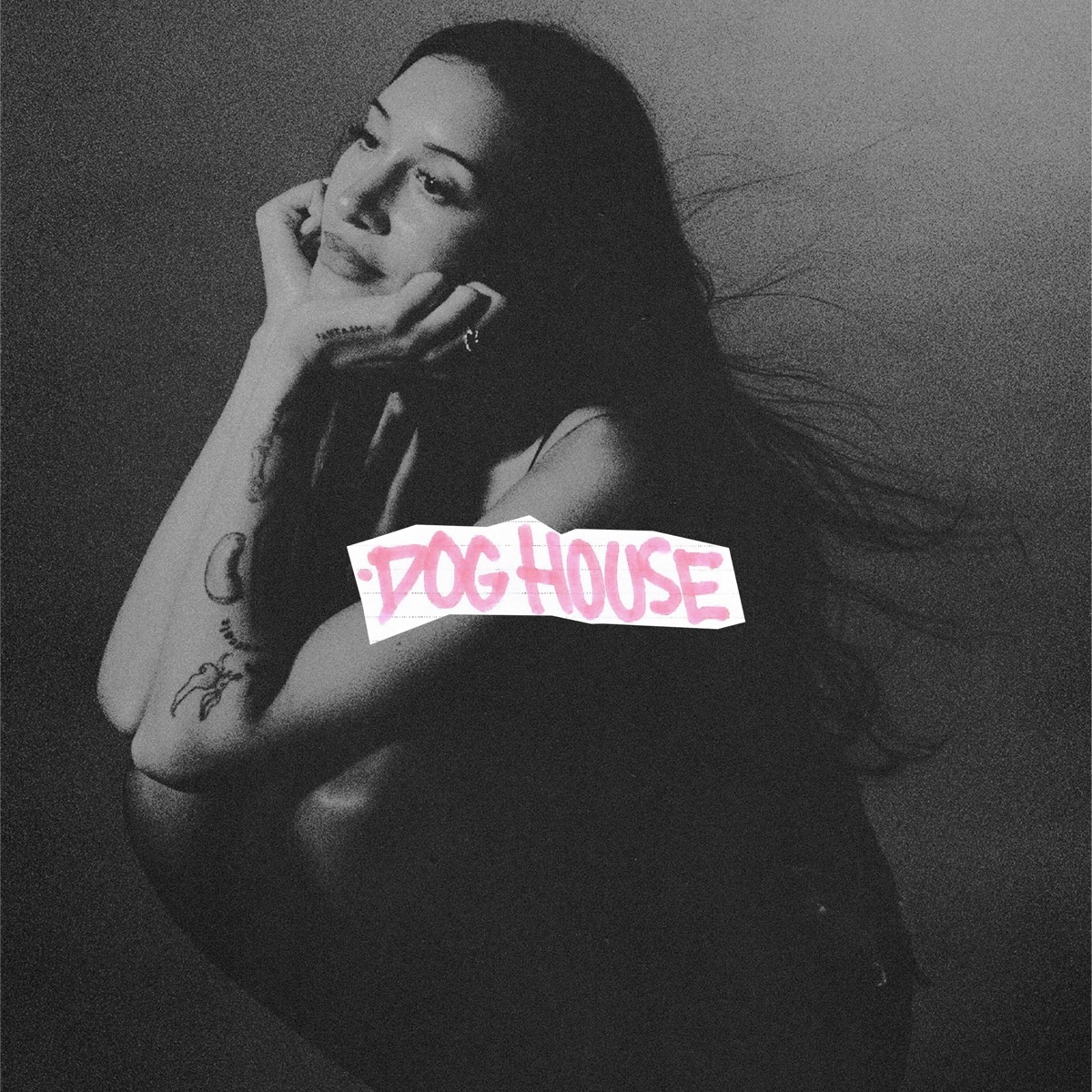 DOG HOUSE - Single by Drake, Julia Wolf & Yeat album cover