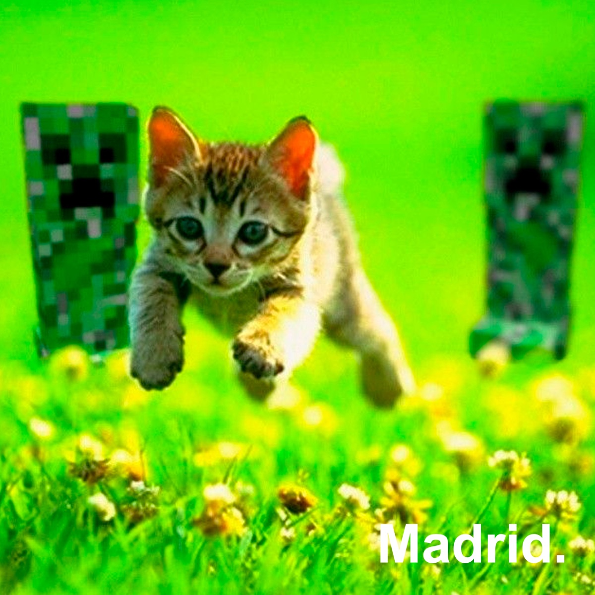 Madrid - Single by Haiki album cover