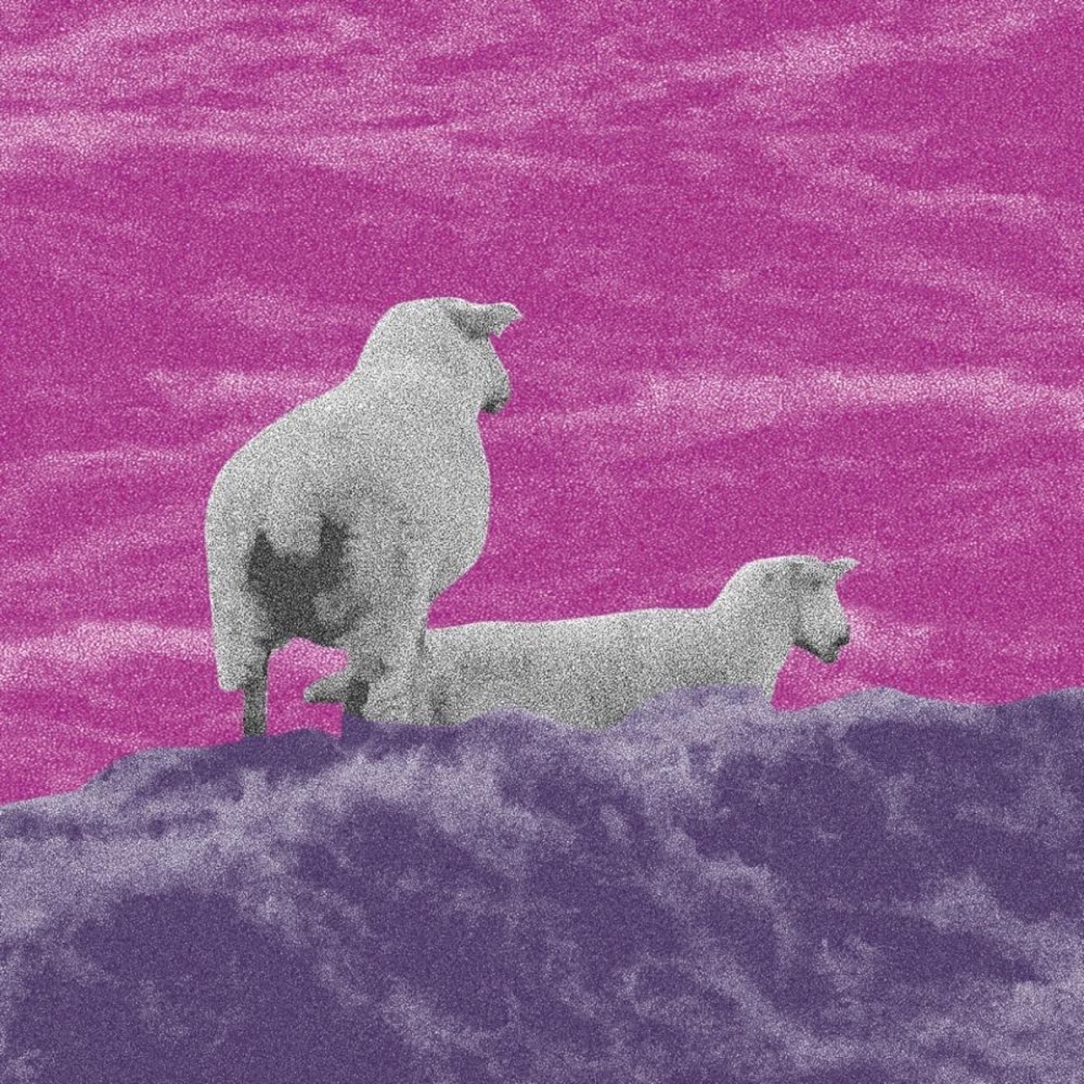 Même Les Moutons Regardent La Mer (chapitres originaux du film) - EP by Elpa album cover