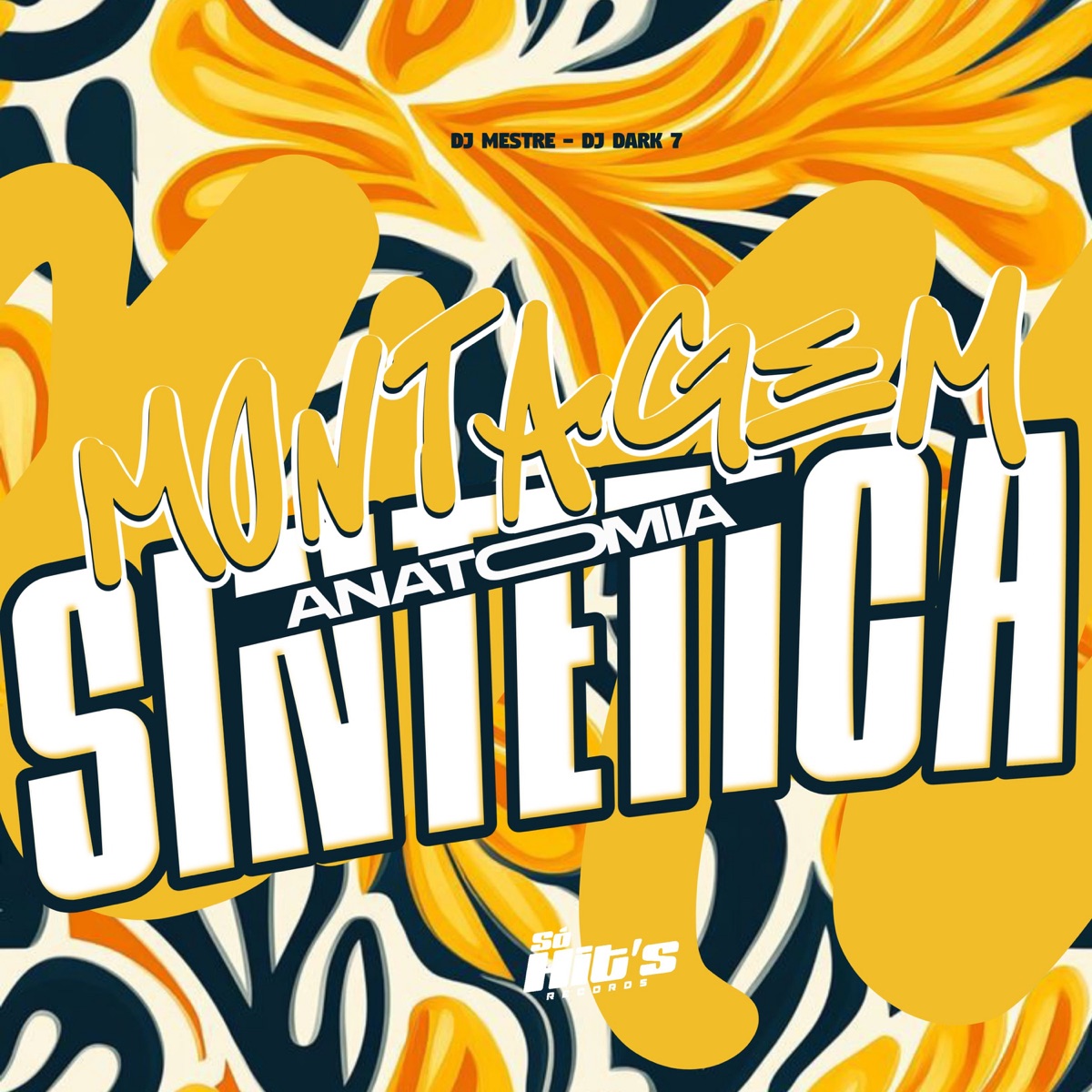Montagem Anatomia Sintética - Single by DJ MESTRE & DJ DARK 7 album cover