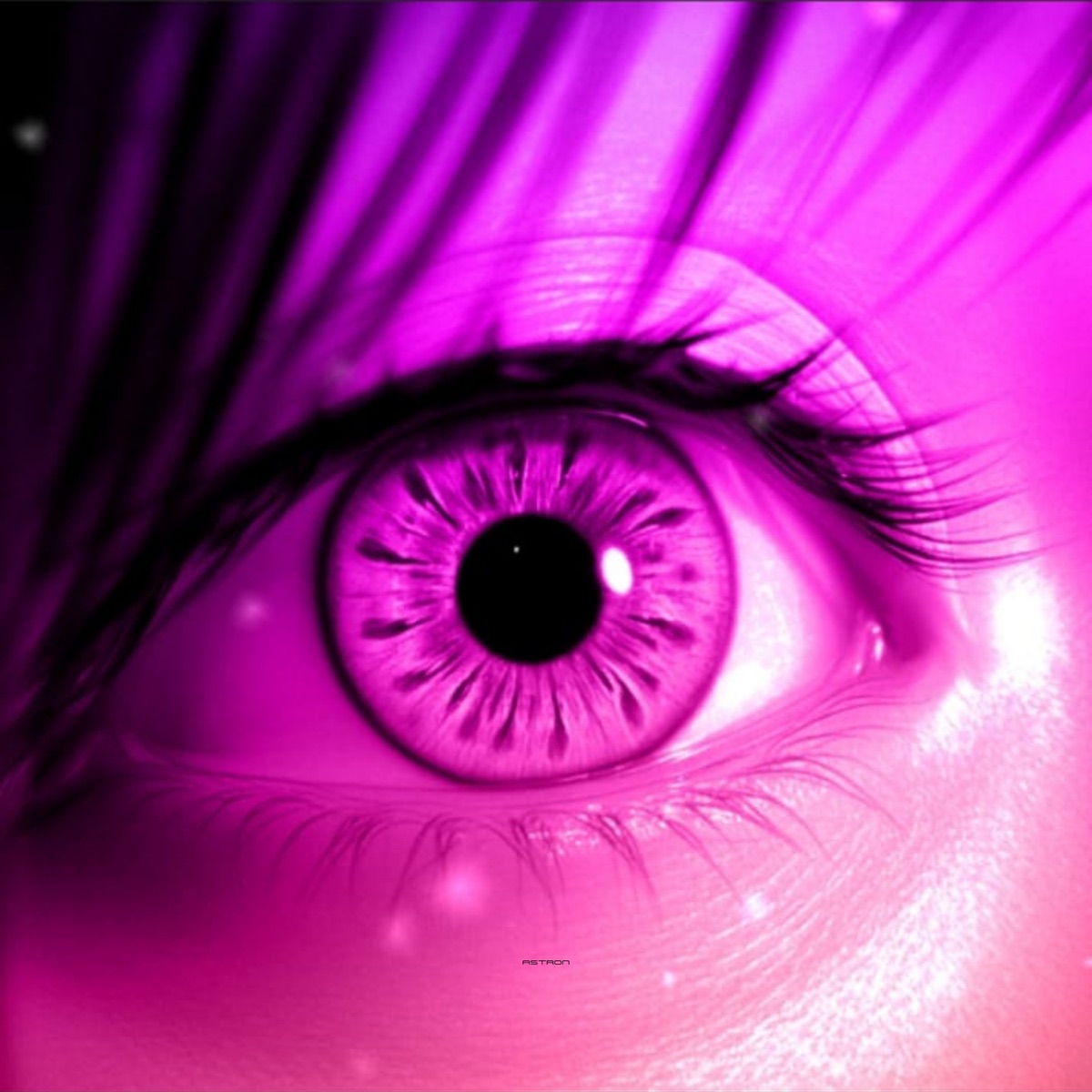 Eternal Dream - Single by Nordic album cover