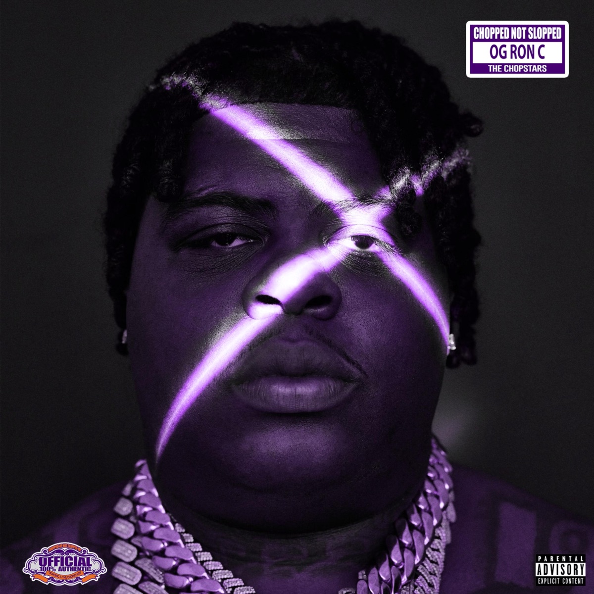 TAKE CARE (ChopNotSlop) by BigXthaPlug & OG Ron C album cover