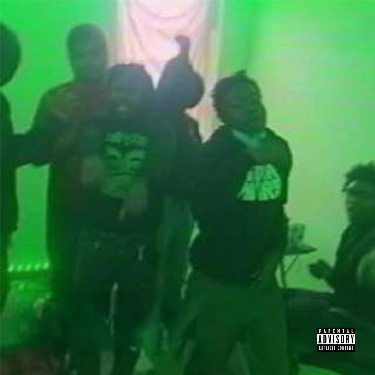 Chicken Run (feat. AyooLii) by Chicken Boyz album cover