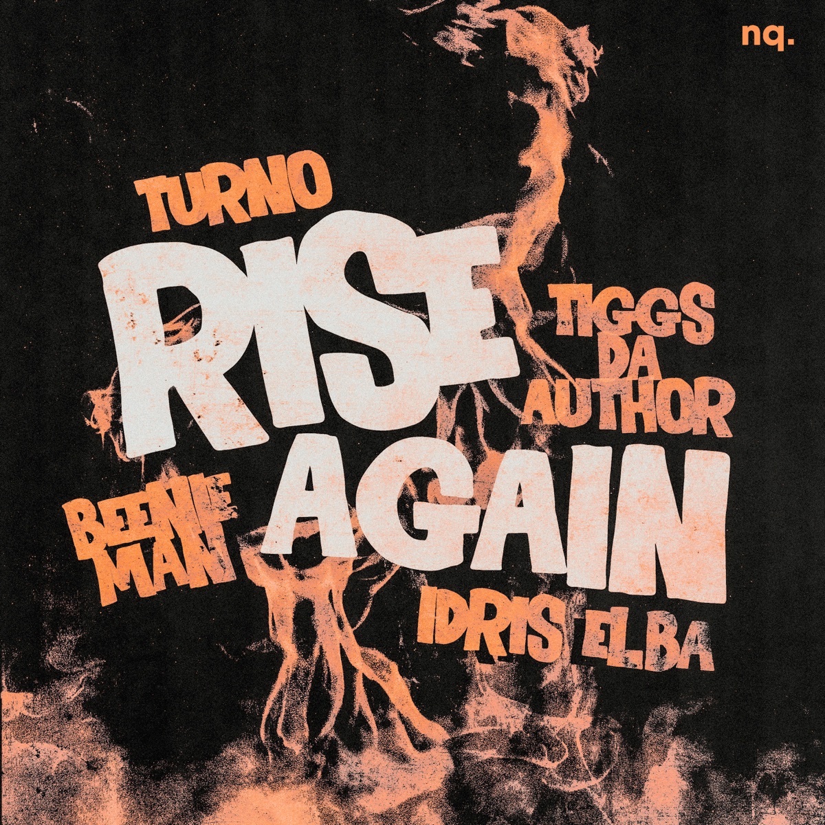 Rise Again (feat. NQ) - Single by Turno, Beenie Man, Idris Elba & Tiggs Da Author album cover
