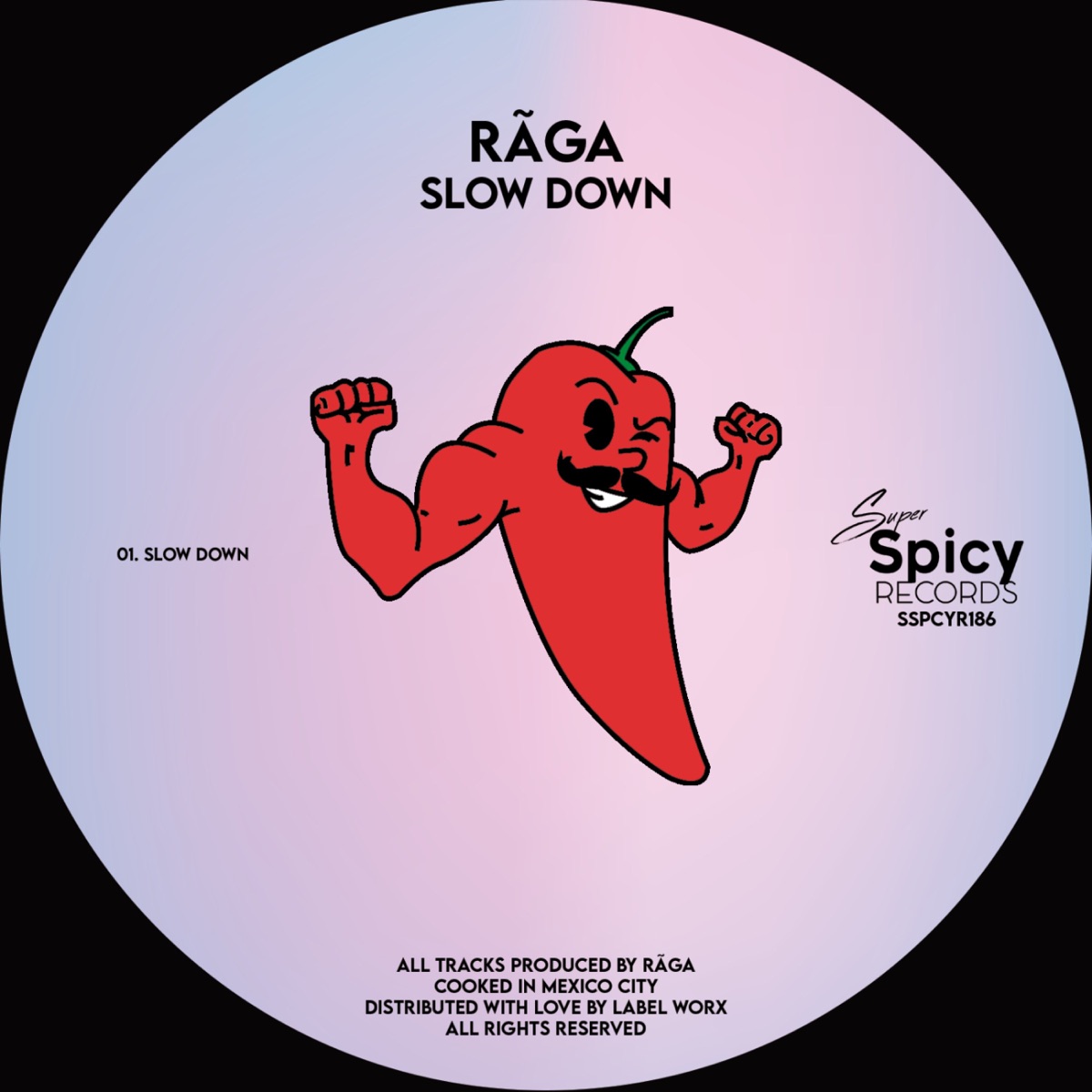 Slow Down - Single by Raga album cover
