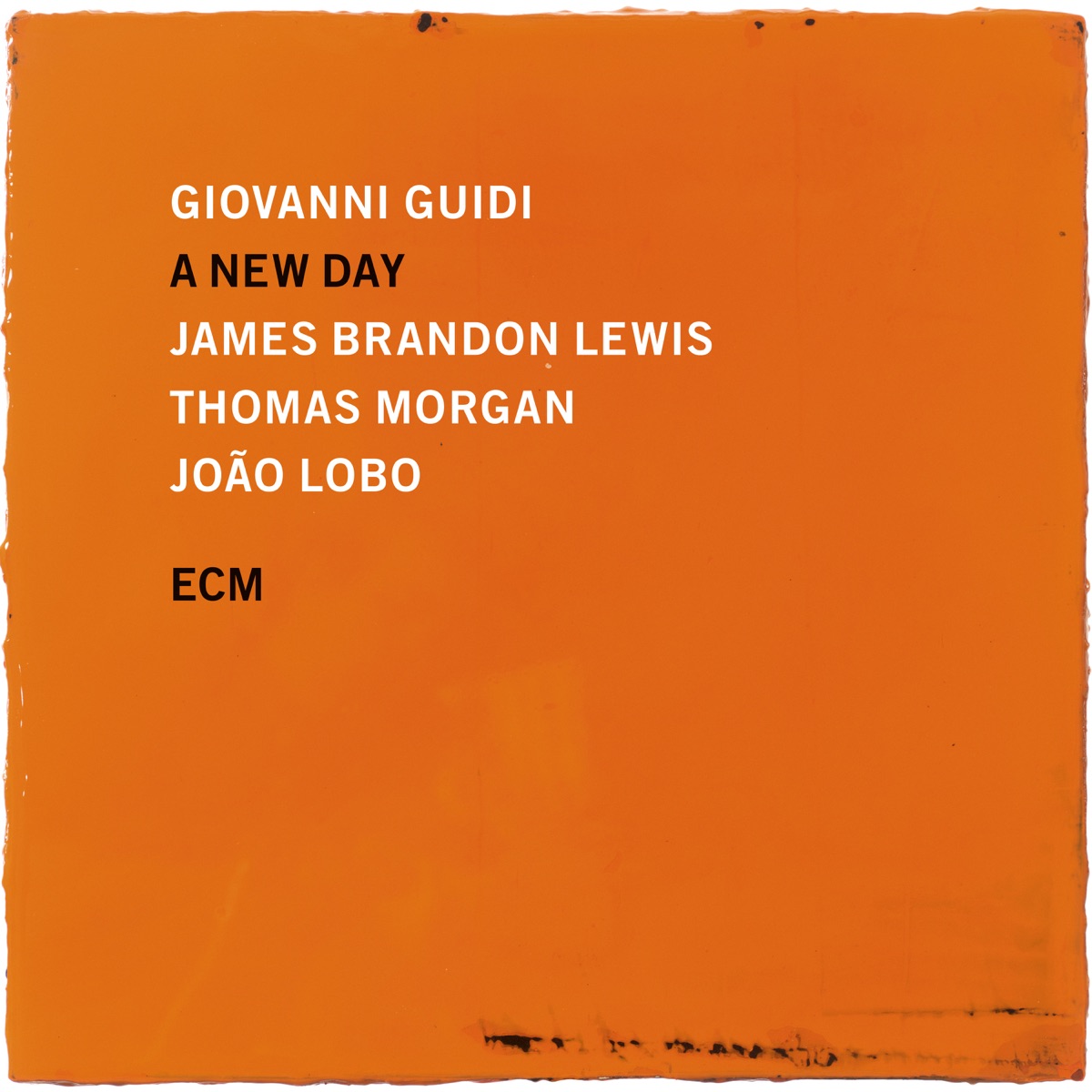 A New Day by Giovanni Guidi, James Brandon Lewis, Thomas Morgan & Joao Lobo album cover
