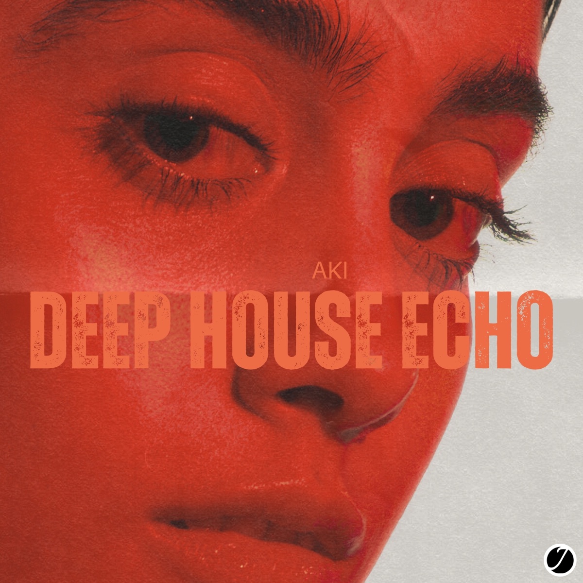 Deep House Echo - Single by Aki album cover