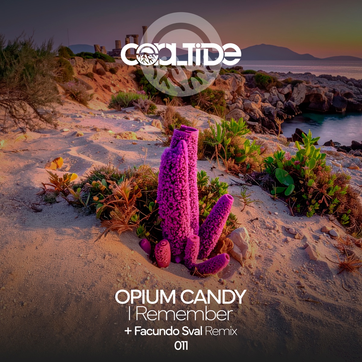 I Remember - Single by OPIUM CANDY & Facundo Sval album cover