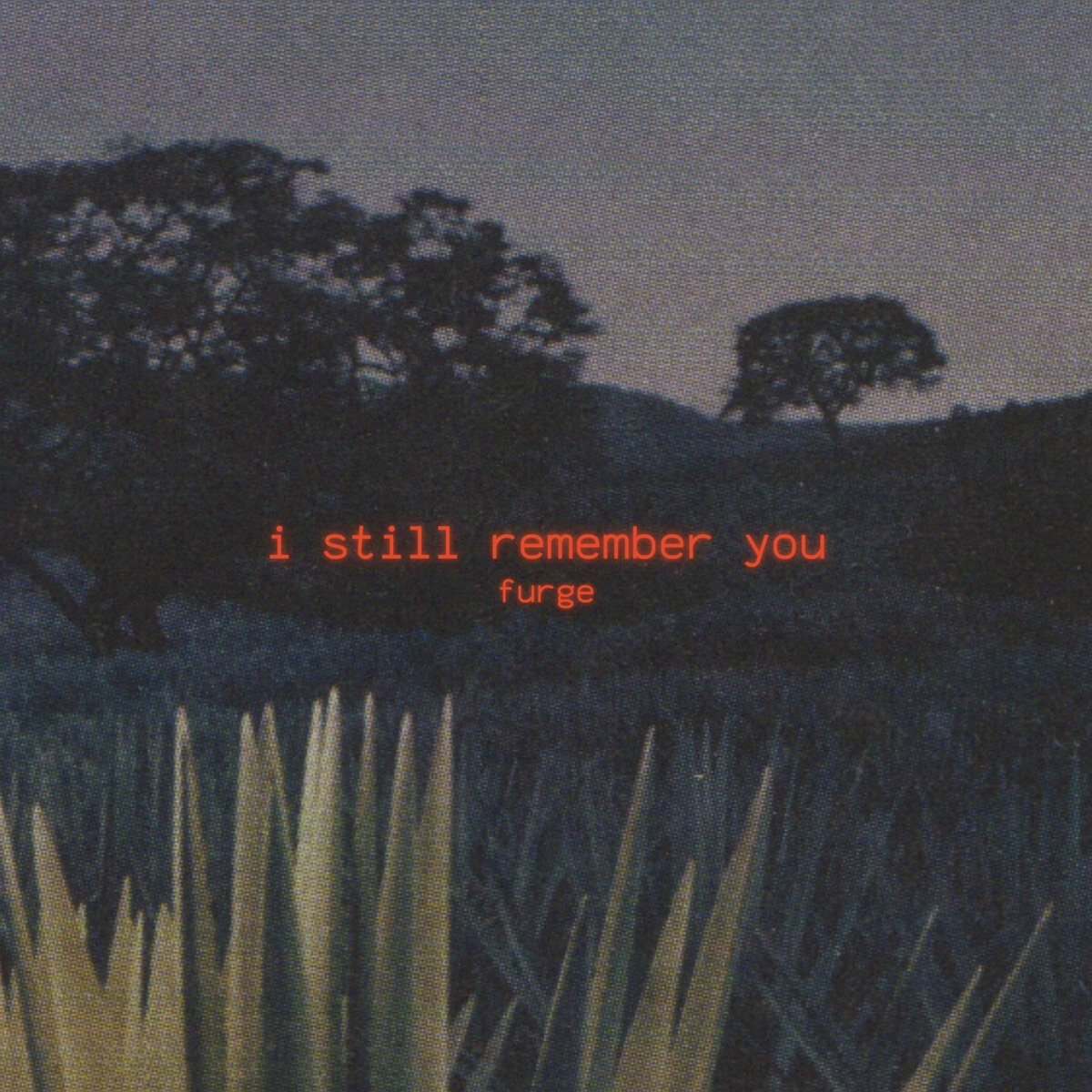i still remember you - Single by Furge album cover