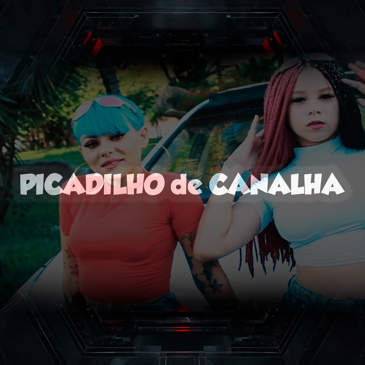 Picadilho de Canalhaa (feat. Mc Looiz) - Single by Dj Nando Beatz album cover