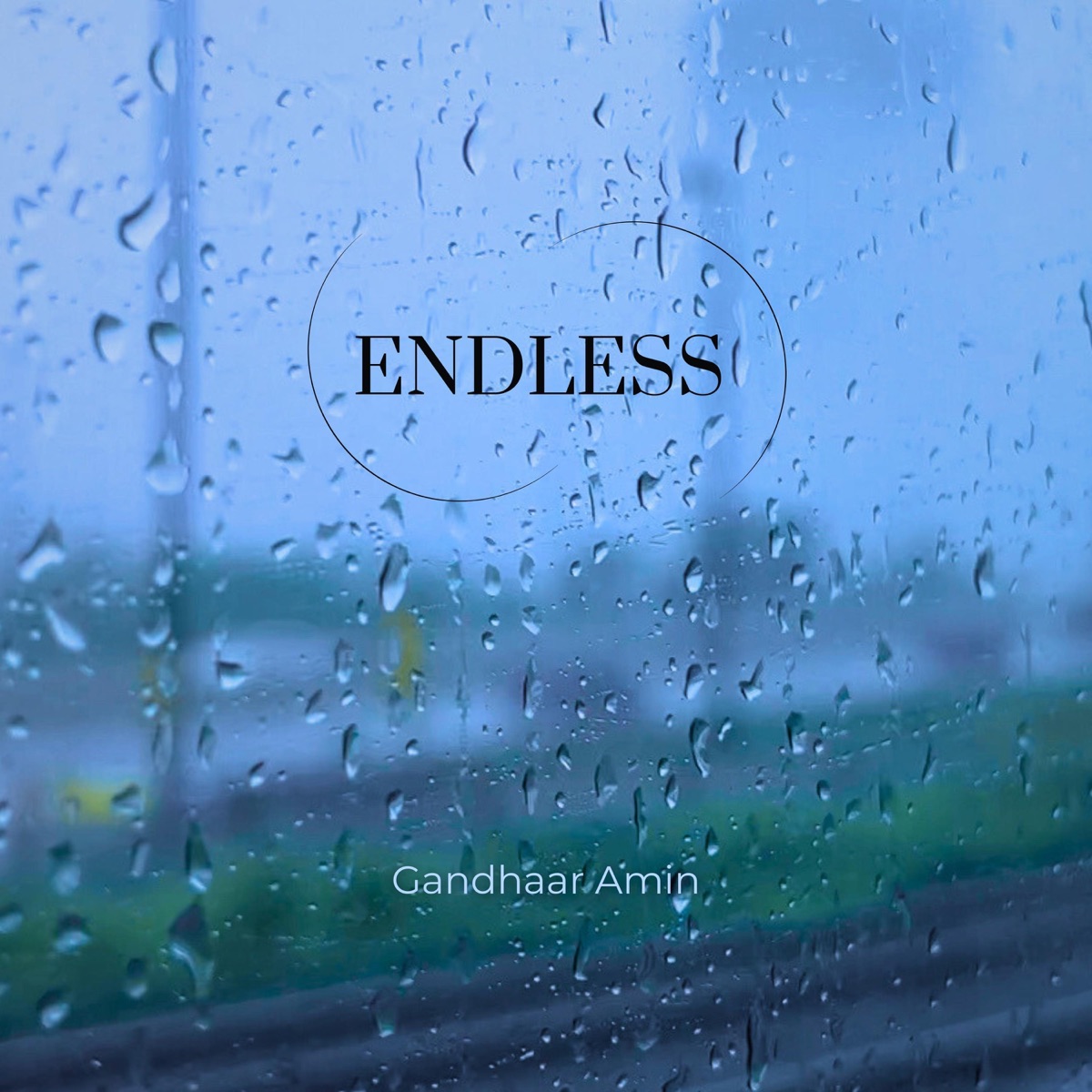 Endless - Single by Gandhaar Amin album cover