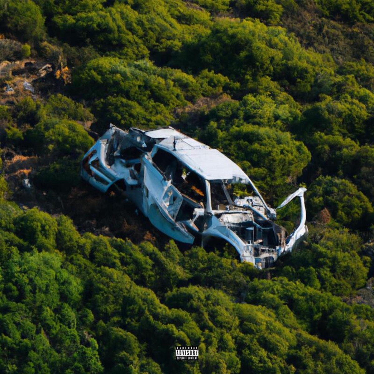 Crashing Tf Out by Run Along Forever & AyooLii album cover