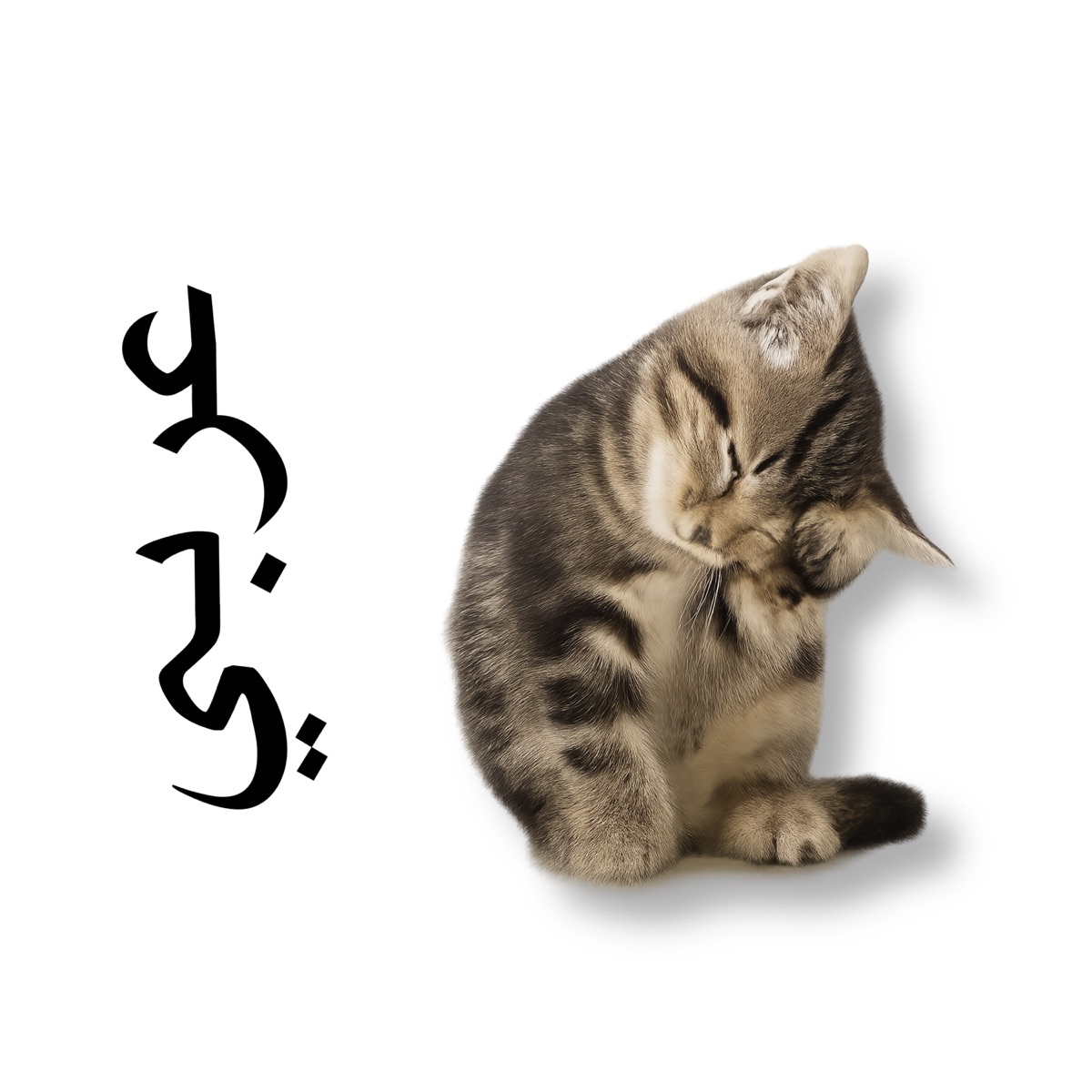 4rabe - Single by Liam Tamagotchi album cover