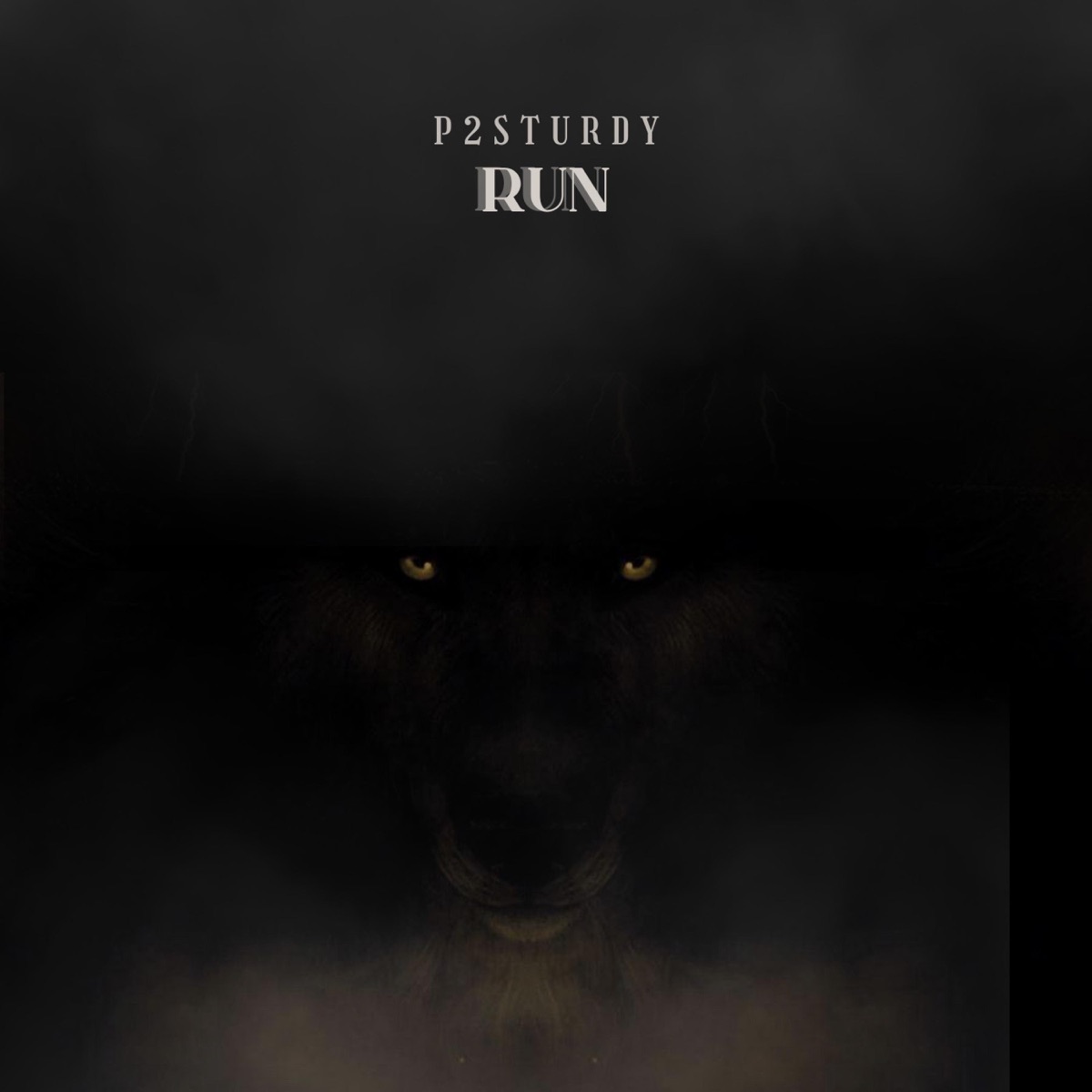 RUN - Single by P2Sturdy album cover