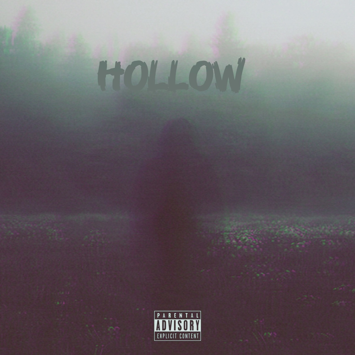 Hollow (feat. Swiishar) - Single by B4L Young Draco & MadMindBeatz album cover