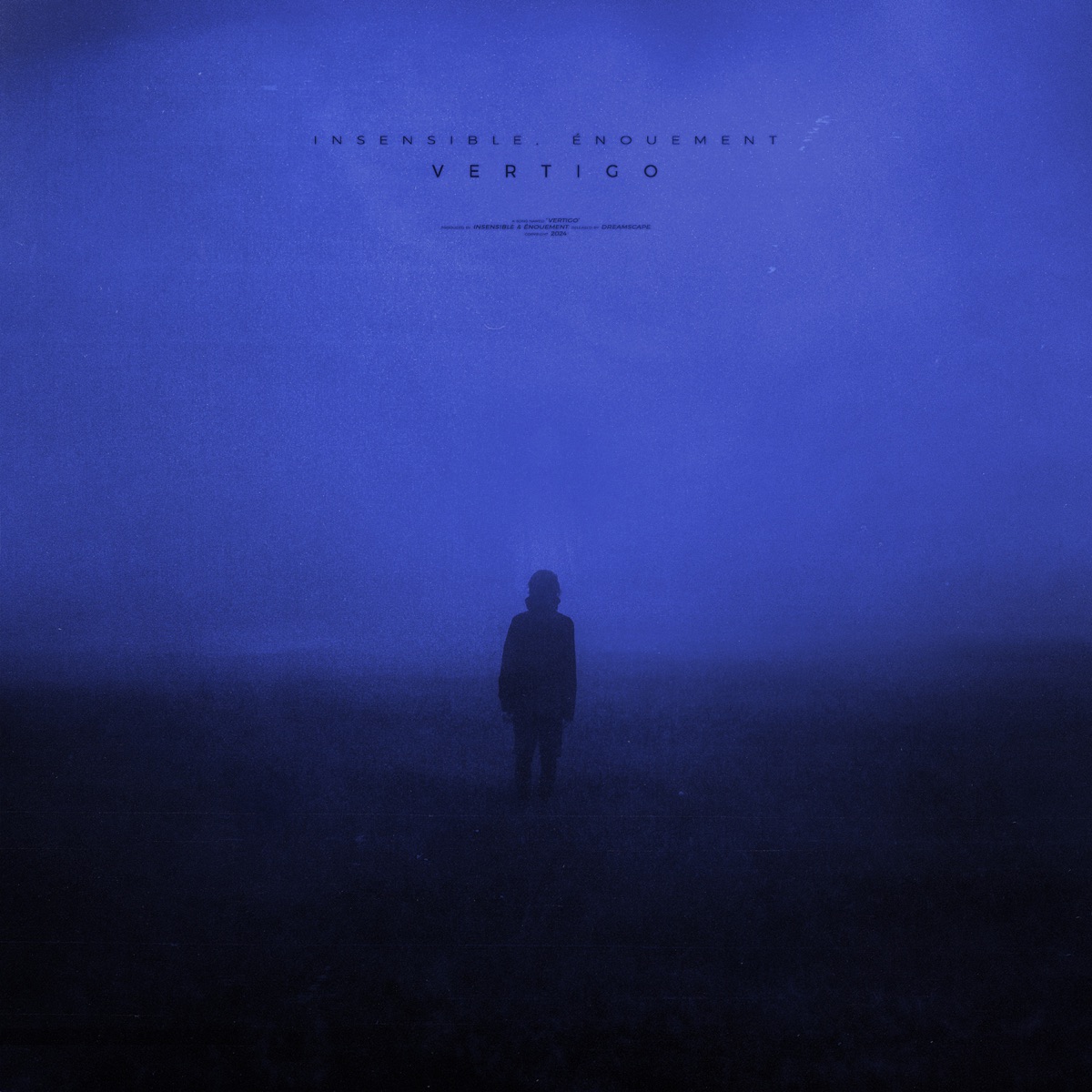 vertigo (remixes) - EP by insensible & énouement album cover