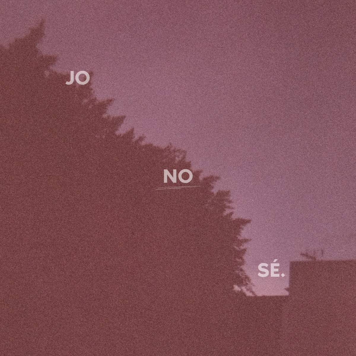 Jo no sé (feat. PauGe & Test Farm) - Single by Island Dojo, Namodelabeats, Slim Samurai & JFXNKA album cover