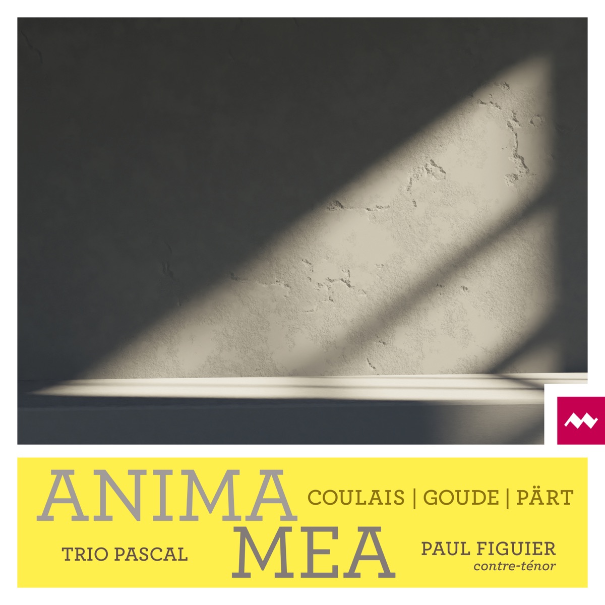 Anima Mea by Paul Figuier, Trio Pascal & Violaine Despeyroux album cover