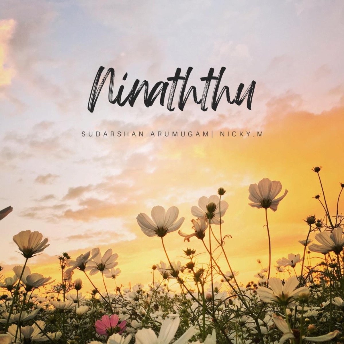 Ninaithu (feat. Nicky.M) - Single by Sudarshan Arumugam album cover