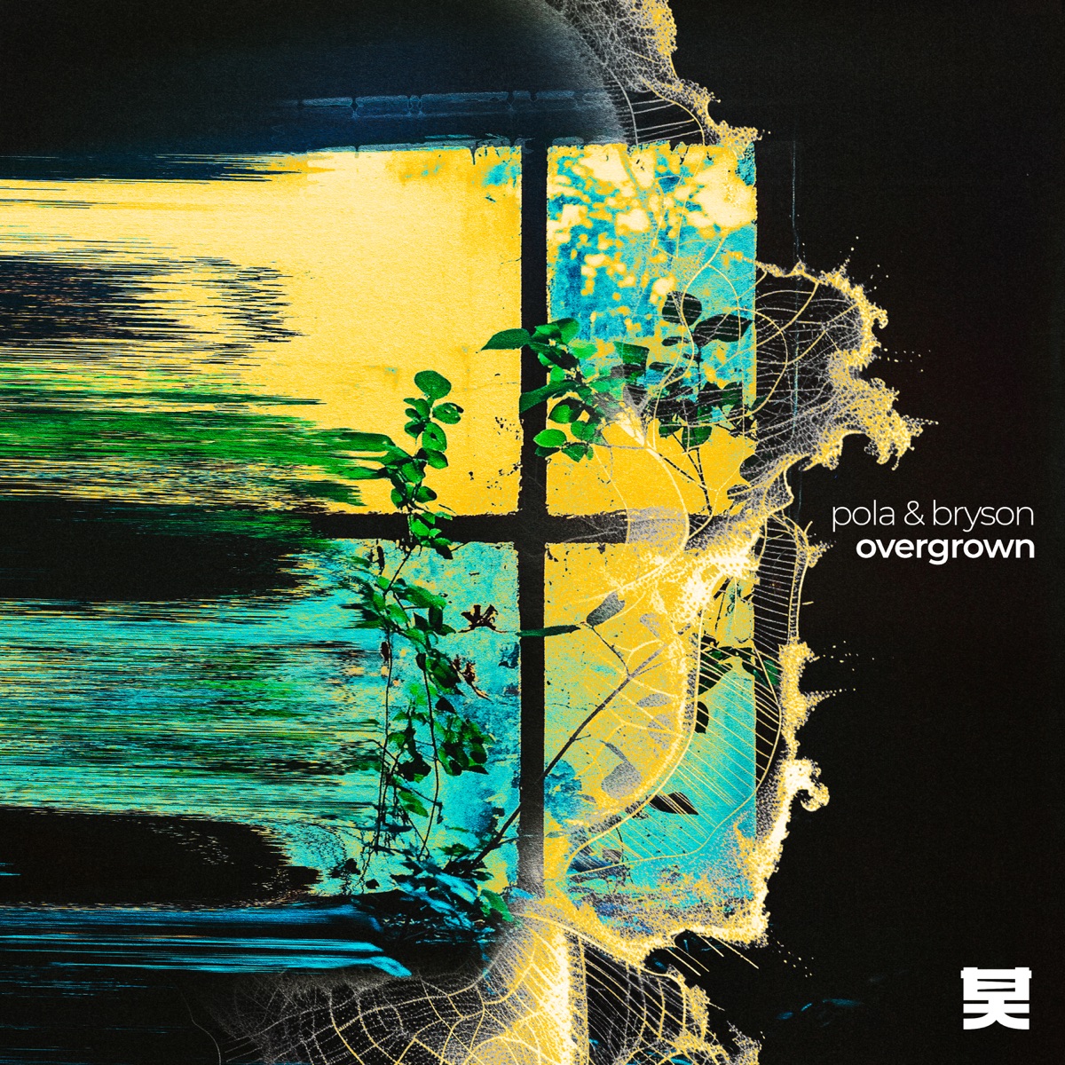 Overgrown by Pola & Bryson album cover