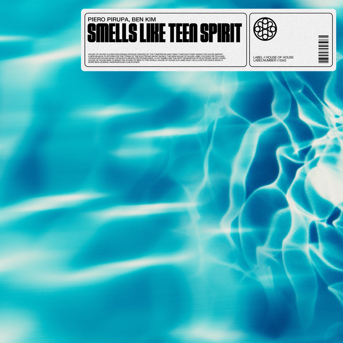Smells Like Teen Spirit - Single by Piero Pirupa & Ben Kim album cover
