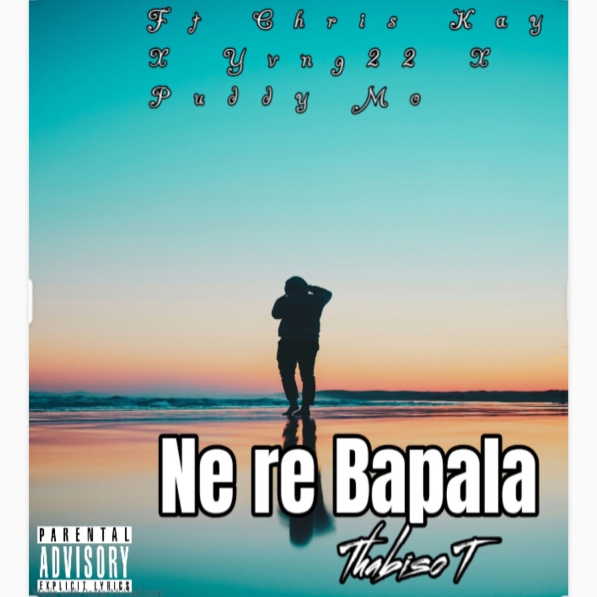 Ne Re Bapala (feat. Puddy mo, YvnG 22 & Chris Kay) - Single by Thabiso T album cover