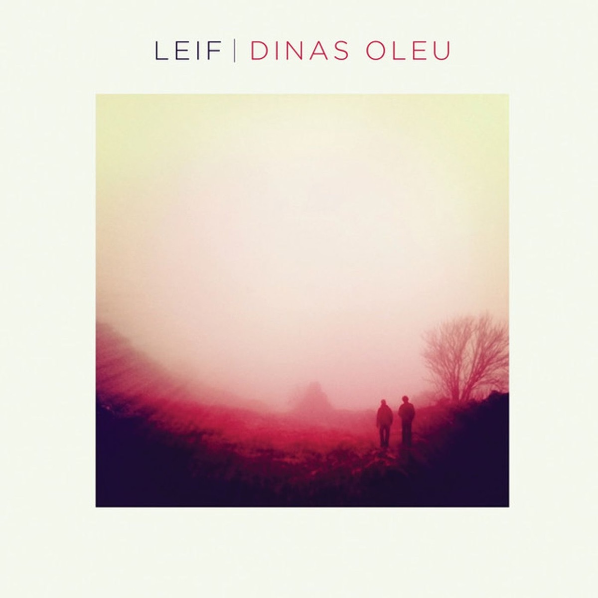 Dinas Oleu by Leif album cover