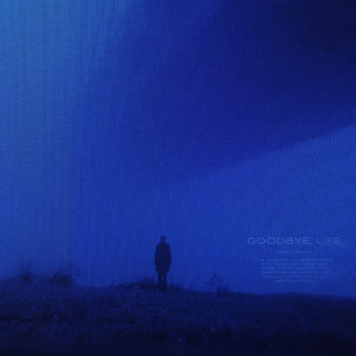 goodbye, life - Single by sønfy & ksuella album cover