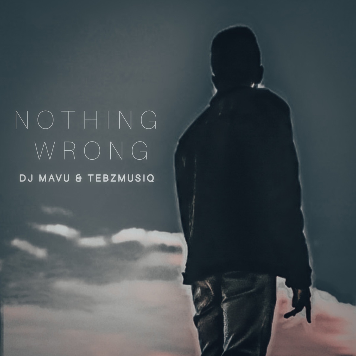 Nothing Wrong - Single by DJ Mavu & Tebz-musiq album cover