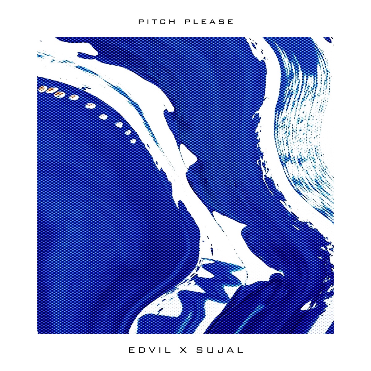 Pitch Please - Single by EDVIL & SUJAL album cover